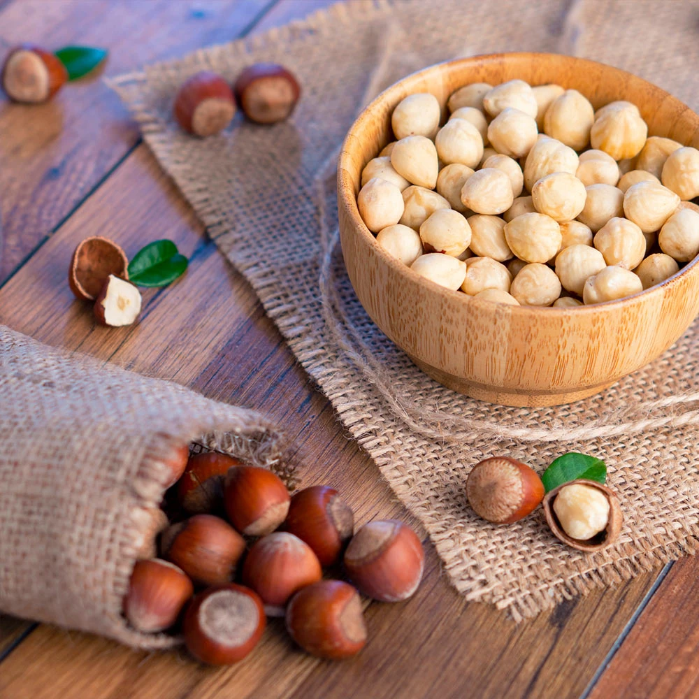 Theta Filbert Hazelnut Tree - Image 3