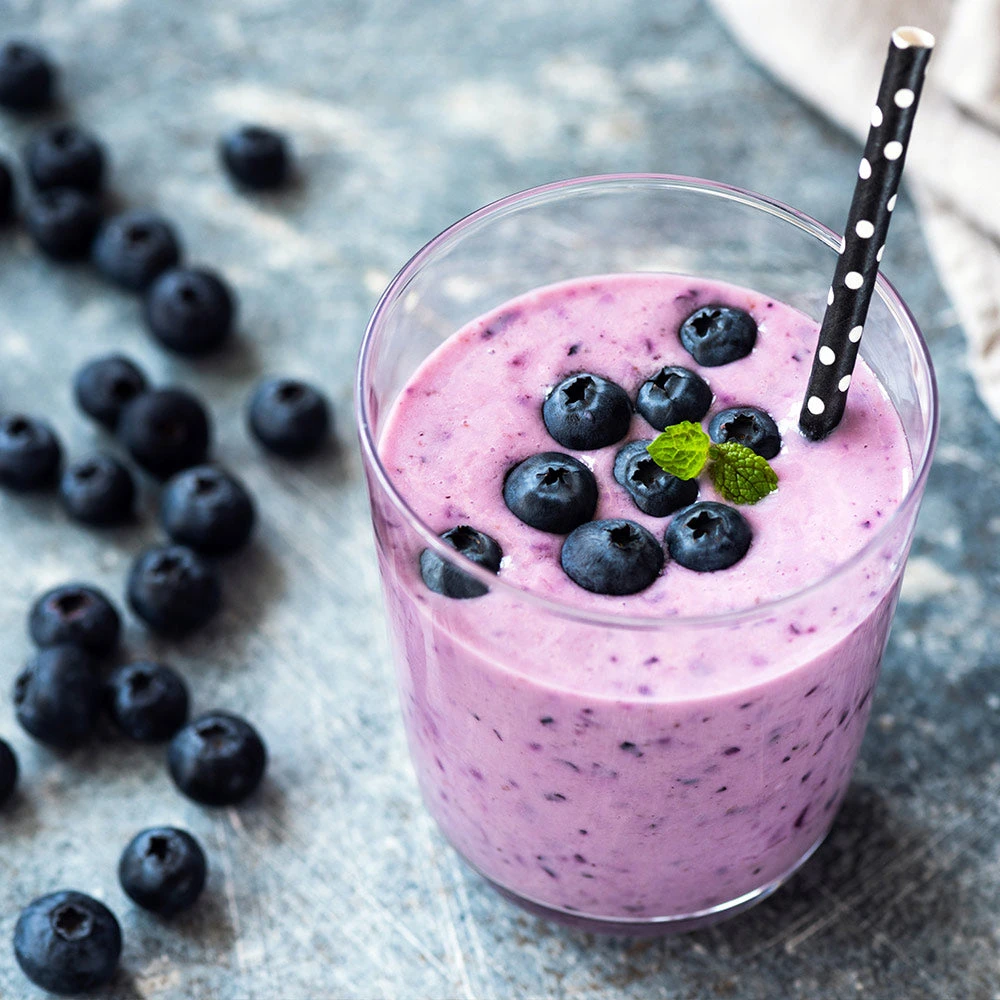 Tifblue Blueberry Bush - Image 5