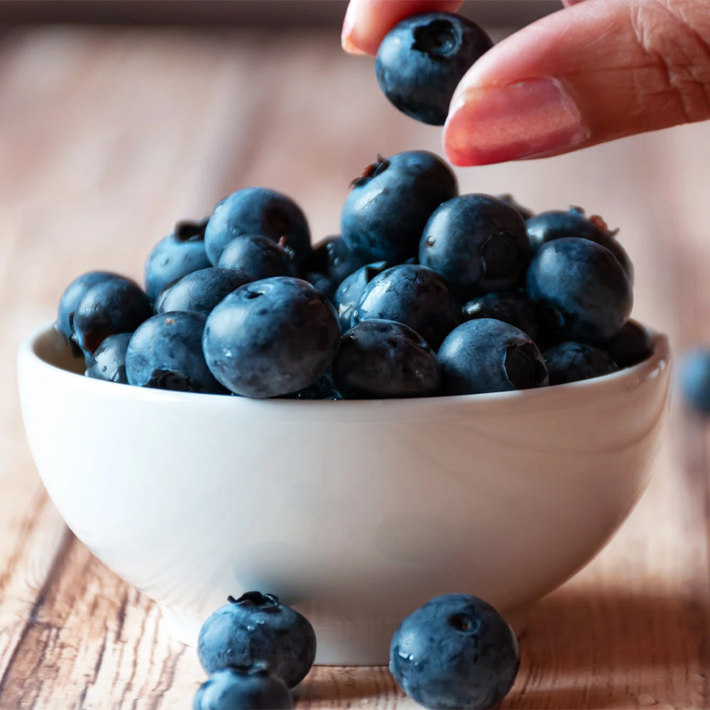 Top Hat Blueberry Bush - Image 3