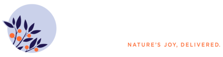 Hot Sale Brighter Blooms Store