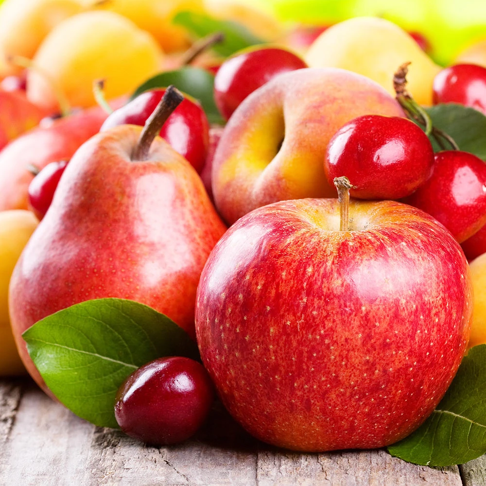 Orchard Kit - Image 3